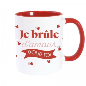  JE BRULE POUR T