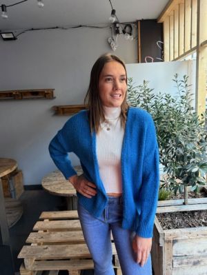  BLEU ROI