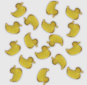  CANARD