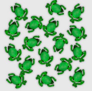  GRENOUILLE