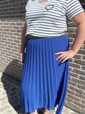  BLEU ROI