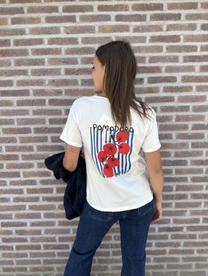  BLEU/ROUGE