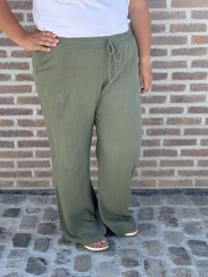  Kaki
