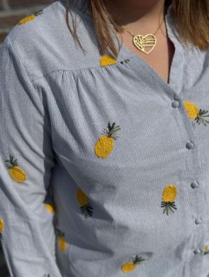  ANANAS