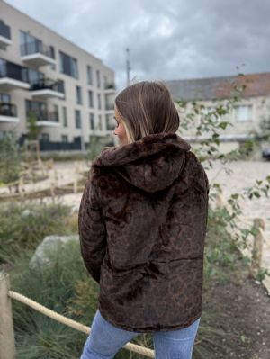  Chocolat/léopar