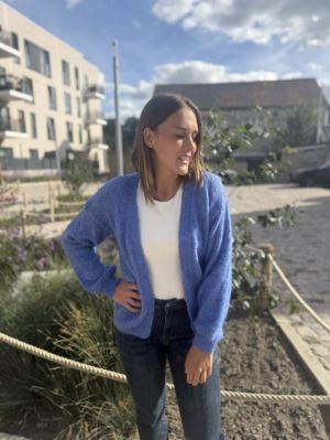  Bleu roi