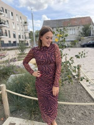  ZEBRE ROUILLE/V