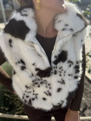  VACHE