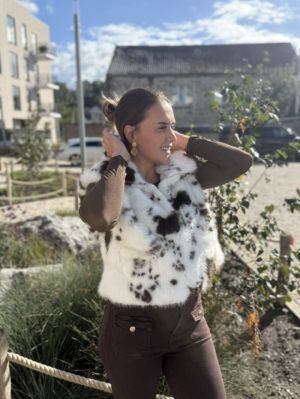  VACHE